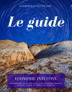 guide ebook de l'économie intuitive